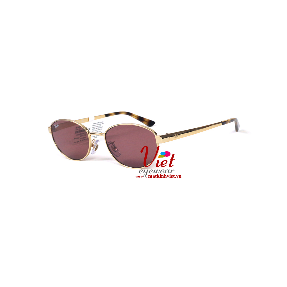 Kính mát RayBan RB3774D 001/69